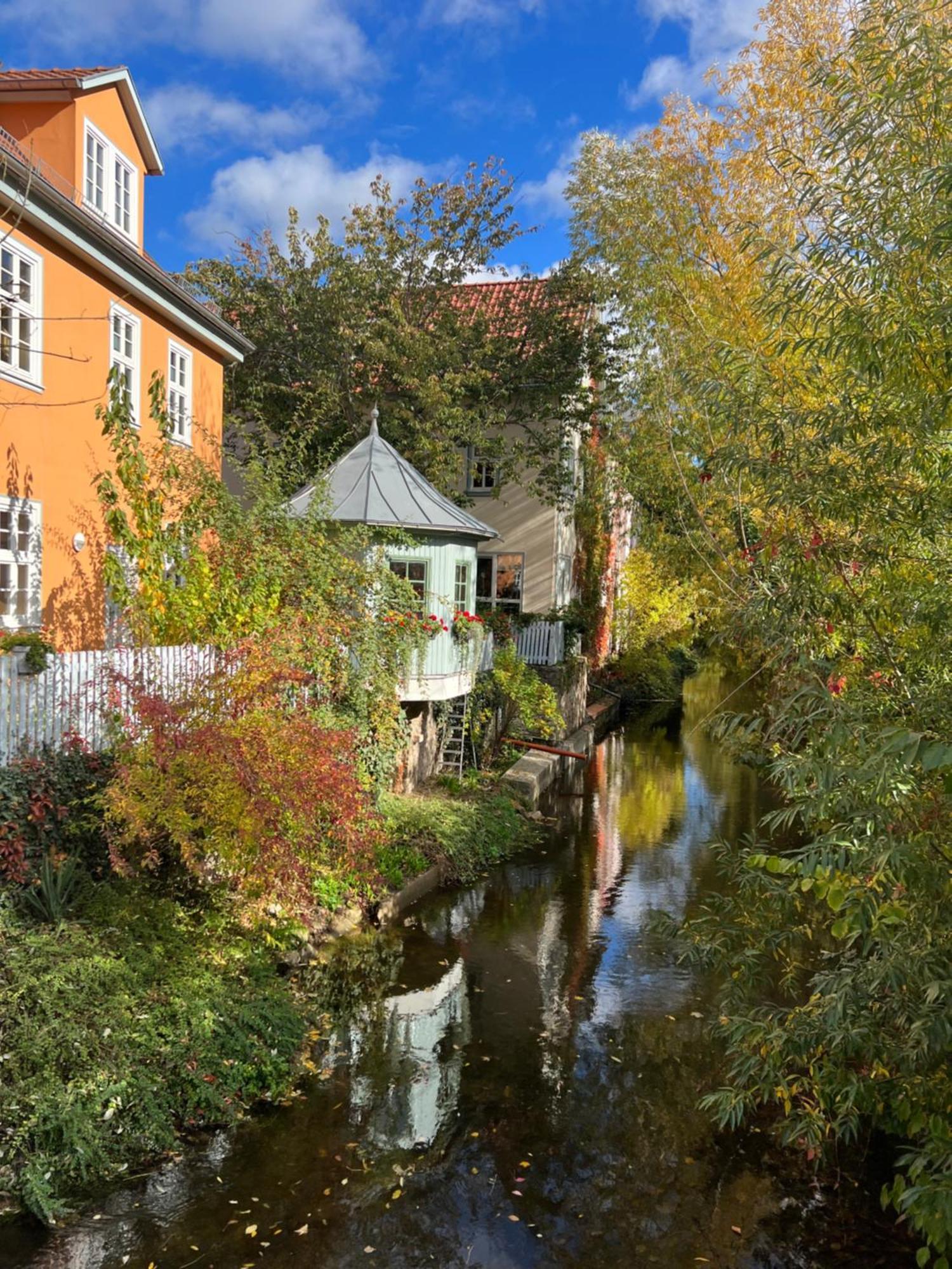 Ferienwohnung Schildblick Modernes Apartment Direkt In Der Altstadt Von Erfurt Nahe Der Kraemerbruecke - Beste Innenstadtlage エクステリア 写真